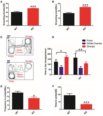 Brain mGluR5 in Shank3B−/− Mice Studied With in vivo [18F]FPEB PET Imaging and ex vivo Immunoblotting